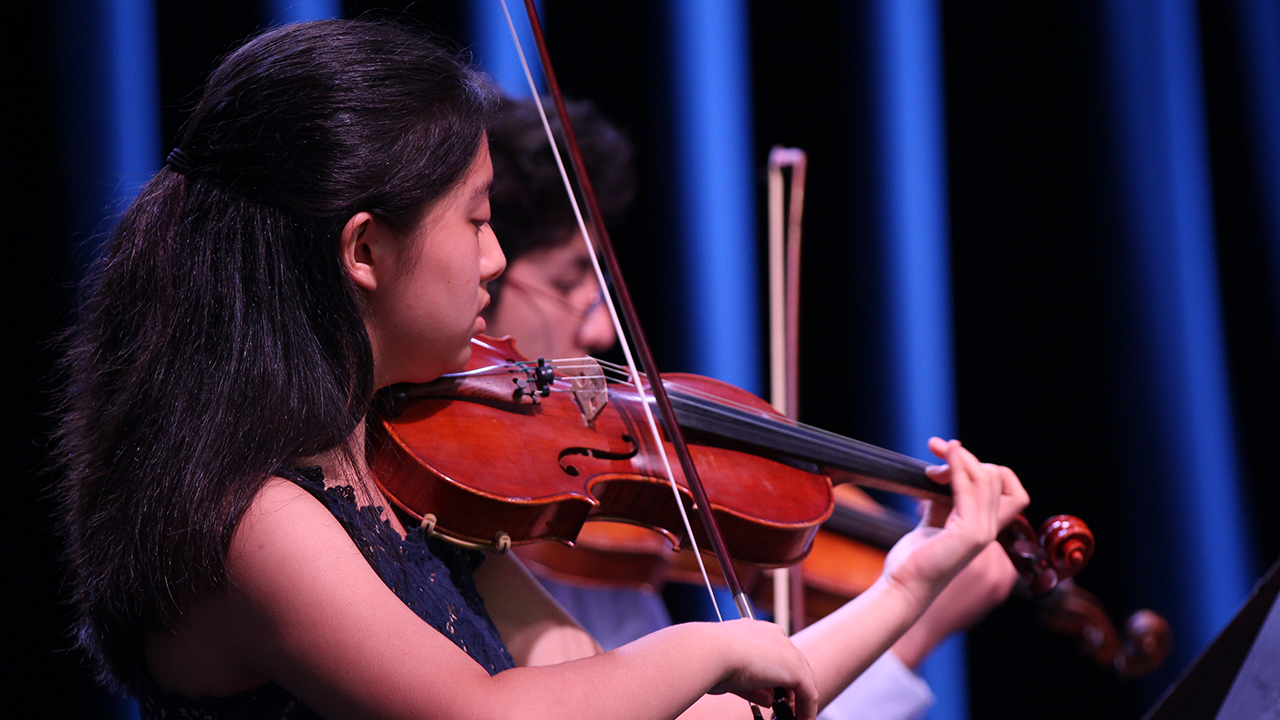 NSO Summer Music Institute